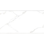 Elemento Bianco Carrara WT9ELT00 Плитка настенная 250*500*9 