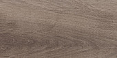  Плитка настенная Laparet  Plant  коричневая 200*400 08-01-15-2685  