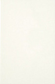 Белая-люкс 2 (1,44) плитка облиц. 200*300